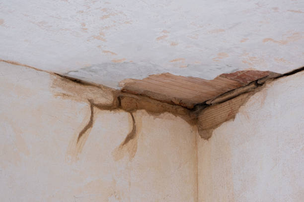 Best Flood restoration services  in Ke Arthur, LA