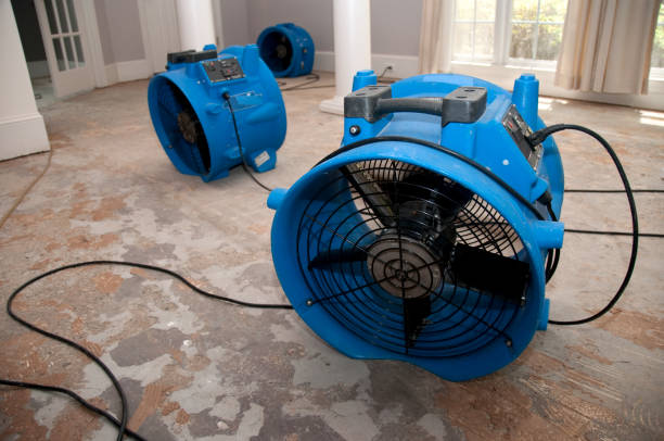 Best Mold removal after water damage  in Ke Arthur, LA