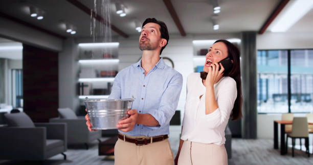 Best Professional water damage repair  in Ke Arthur, LA