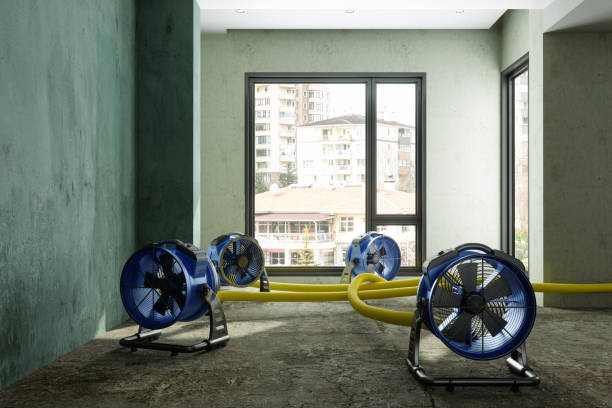Best Commercial water damage restoration  in Ke Arthur, LA